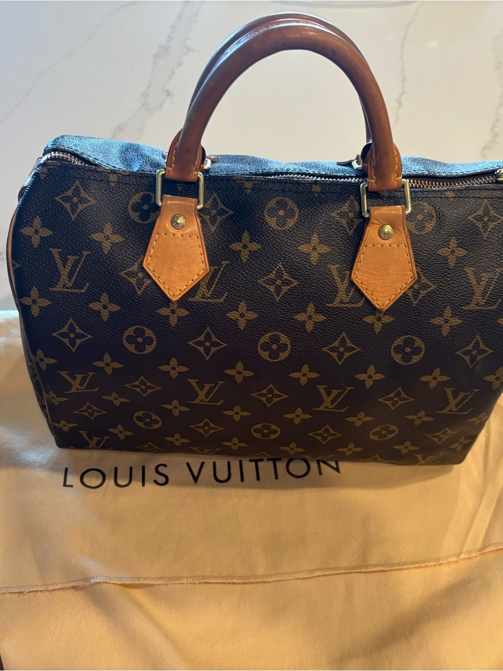 Louis Vuitton Monogram Canvas Speedy Bag in Brown and Tan